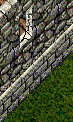 You peek out the window and see a bunch of PKs running around