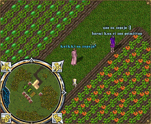 Pumpkins all over the place